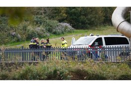 Persoon springt in het water in park Haarlem