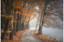 Laatste week november fris en licht wisselvallig