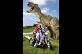 Tentoonstelling Nieuw Oud! De kunst van het ouder worden