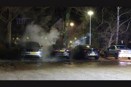 Meerdere auto's in brand in Spaarndam
