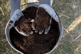 Gratis compost op zaterdag 28 maart op de Landelijke Compostdag