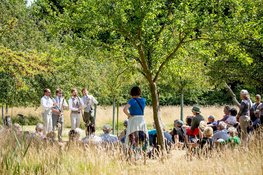 Festival Klaterklanken te gast op Buitenplaats Elswout in Overveen