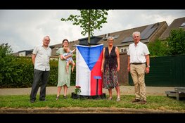 Bizarre historische paradox bij introductie gedenkboom Milada Horáková in Haarlem