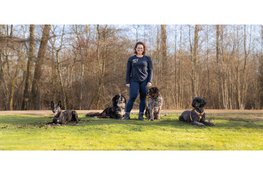 Pootje Geluk: samen met mijn hondenroedel door de duinen van Zandvoort