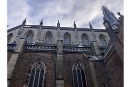 Open Monumentendagen: ontdek de Bavo van binnen, boven én achter het orgel