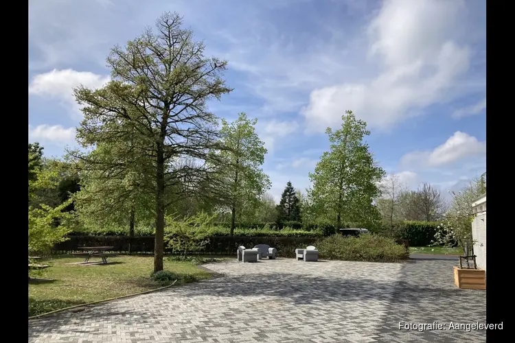 Langs bomen van Meerterpen