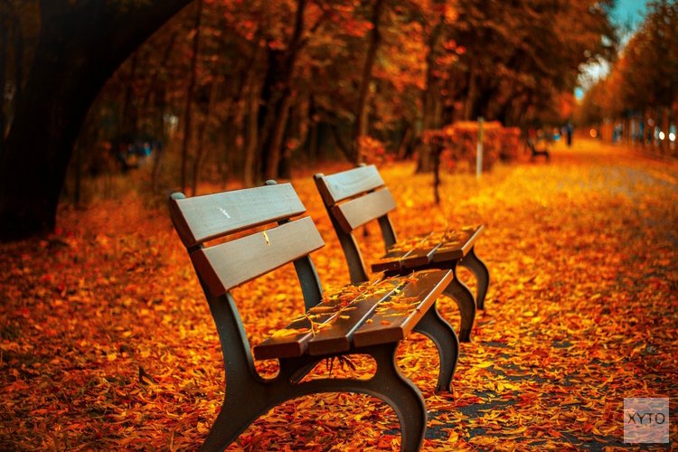 November start met rustig herfstweer, nachten worden frisser